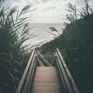 Meet your Posher, Janae